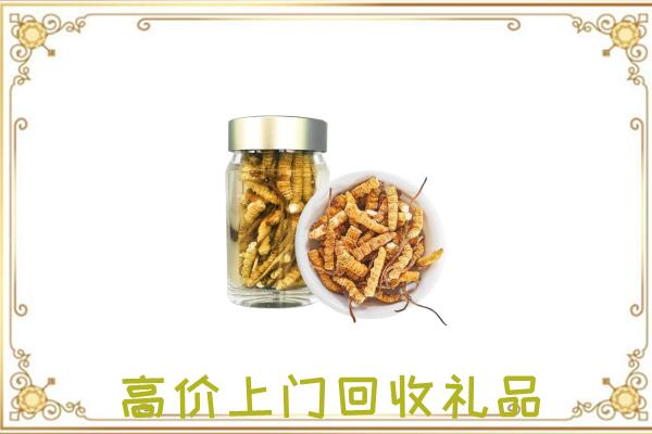 随州周边回收虫草